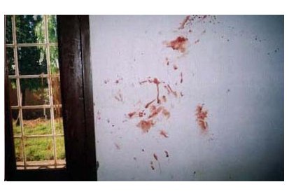 Du sang sur les murs de la buvette